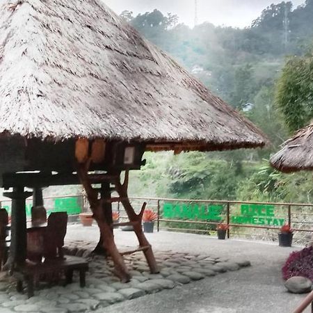 Rice Homestay บาเนาเว ภายนอก รูปภาพ