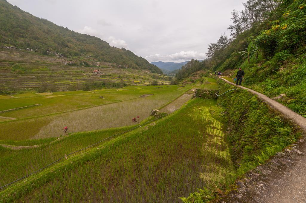 Rice Homestay บาเนาเว ภายนอก รูปภาพ